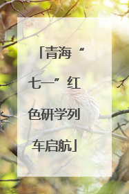 青海“七一”红色研学列车启航