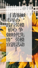 青铜峡市举办“践行劳模初心 争做时代先锋”劳模宣讲活动