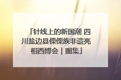 针线上的新国潮 四川盐边县傈僳族非遗亮相西博会｜图集
