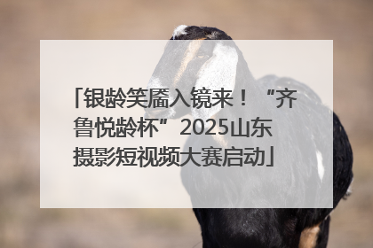 银龄笑靥入镜来！“齐鲁悦龄杯”2025山东摄影短视频大赛启动