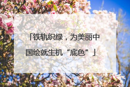 铁轨织绿，为美丽中国绘就生机“底色”
