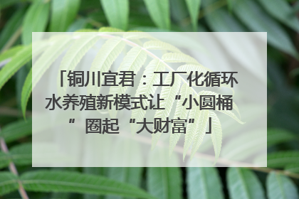 铜川宜君：工厂化循环水养殖新模式让“小圆桶”圈起“大财富”