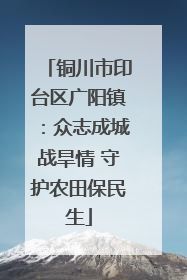 铜川市印台区广阳镇：众志成城战旱情 守护农田保民生