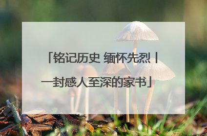 铭记历史 缅怀先烈丨一封感人至深的家书