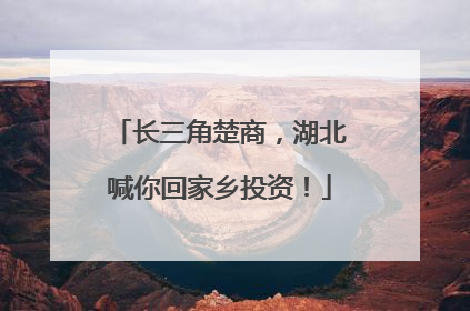 长三角楚商，湖北喊你回家乡投资！