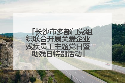长沙市多部门党组织联合开展关爱企业残疾员工主题党日暨助残日特别活动