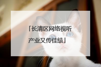 长清区网络视听产业又传佳绩