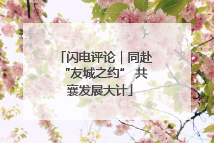 闪电评论｜同赴“友城之约” 共襄发展大计
