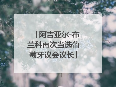 阿吉亚尔-布兰科再次当选葡萄牙议会议长