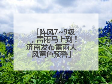 阵风7~9级，雷雨马上到！济南发布雷雨大风黄色预警