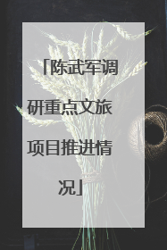 陈武军调研重点文旅项目推进情况