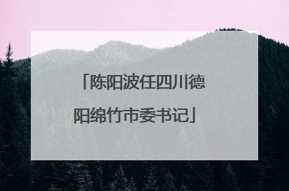 陈阳波任四川德阳绵竹市委书记