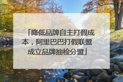 降低品牌自主打假成本，阿里巴巴打假联盟成立品牌抽检分盟