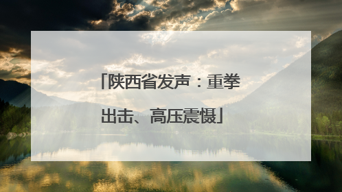 陕西省发声：重拳出击、高压震慑