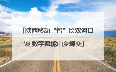 陕西移动“智”绘双河口镇 数字赋能山乡蝶变