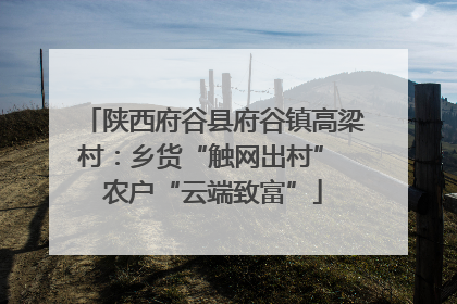 陕西府谷县府谷镇高梁村：乡货“触网出村” 农户“云端致富”