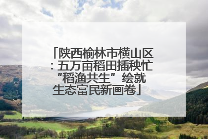 陕西榆林市横山区：五万亩稻田插秧忙 “稻渔共生”绘就生态富民新画卷