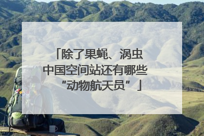 除了果蝇、涡虫 中国空间站还有哪些“动物航天员”