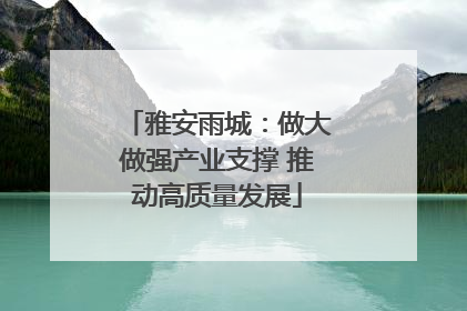 雅安雨城：做大做强产业支撑 推动高质量发展
