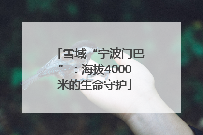 雪域“宁波门巴”：海拔4000米的生命守护