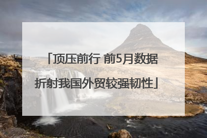 顶压前行 前5月数据折射我国外贸较强韧性
