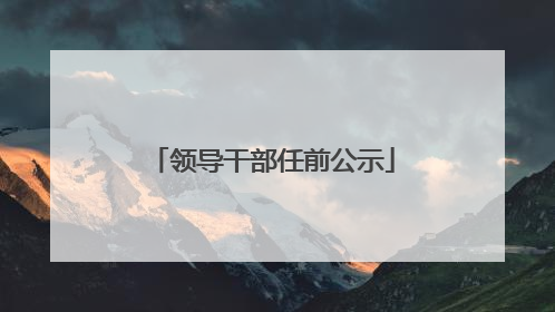 领导干部任前公示