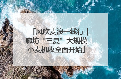 风吹麦浪一线行｜廊坊“三夏”大规模小麦机收全面开始