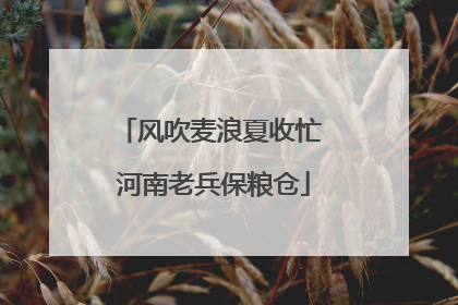 风吹麦浪夏收忙 河南老兵保粮仓