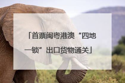 首票闽粤港澳“四地一锁”出口货物通关