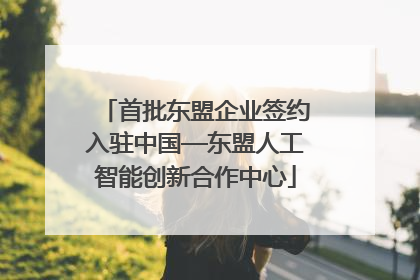 首批东盟企业签约入驻中国—东盟人工智能创新合作中心