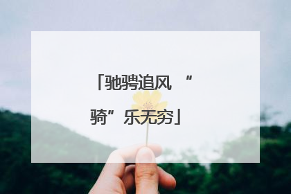 驰骋追风 “骑”乐无穷