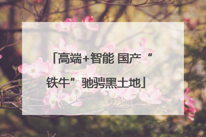 高端+智能 国产“铁牛”驰骋黑土地