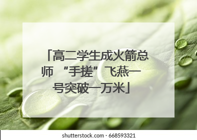 高二学生成火箭总师 “手搓”飞燕一号突破一万米