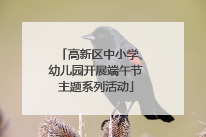 高新区中小学、幼儿园开展端午节主题系列活动