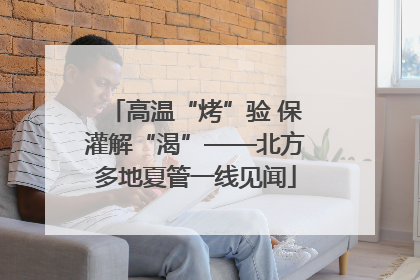 高温“烤”验 保灌解“渴”——北方多地夏管一线见闻