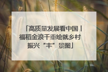 高质量发展看中国丨福稻金浪千重绘就乡村振兴“丰”景图