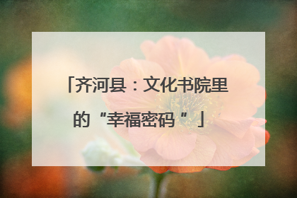 齐河县：文化书院里的“幸福密码 ”