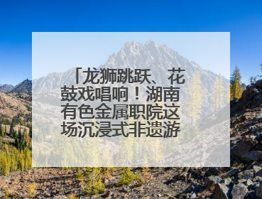 龙狮跳跃、花鼓戏唱响！湖南有色金属职院这场沉浸式非遗游园活动很带感