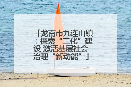 龙南市九连山镇：探索“三化”建设 激活基层社会治理“新动能”