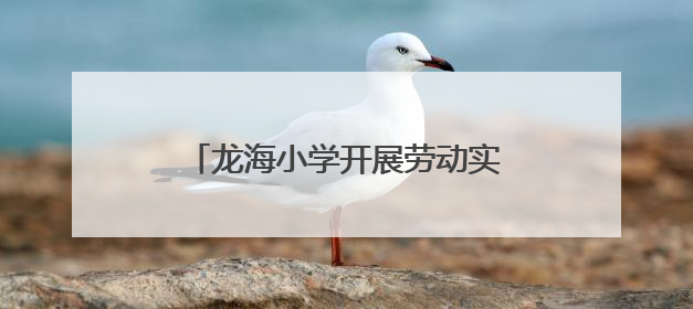 龙海小学开展劳动实践基地拔大蒜活动