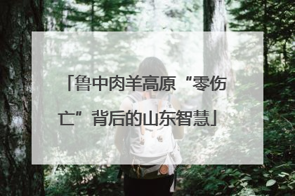 鲁中肉羊高原“零伤亡”背后的山东智慧