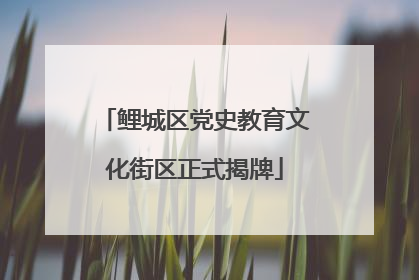 鲤城区党史教育文化街区正式揭牌