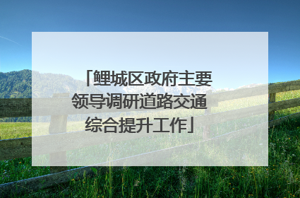 鲤城区政府主要领导调研道路交通综合提升工作