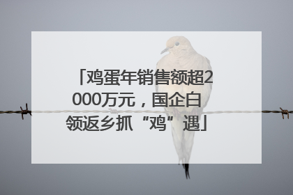 鸡蛋年销售额超2000万元，国企白领返乡抓“鸡”遇
