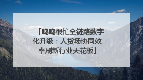 鸣鸣很忙全链路数字化升级：人货场协同效率刷新行业天花板