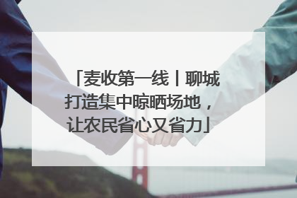 麦收第一线丨聊城打造集中晾晒场地，让农民省心又省力