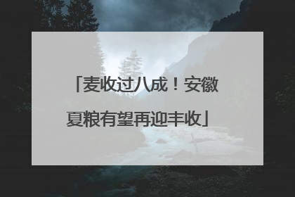麦收过八成！安徽夏粮有望再迎丰收
