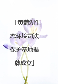 黄盖湖生态环境司法保护基地揭牌成立