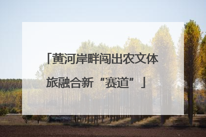黄河岸畔闯出农文体旅融合新“赛道”