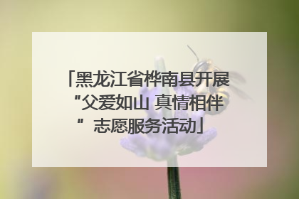 黑龙江省桦南县开展“父爱如山 真情相伴”志愿服务活动